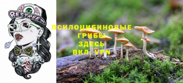 амф Белокуриха